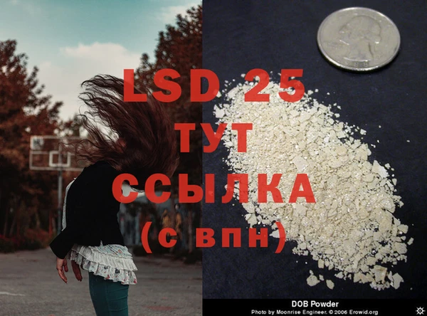 a pvp Краснослободск